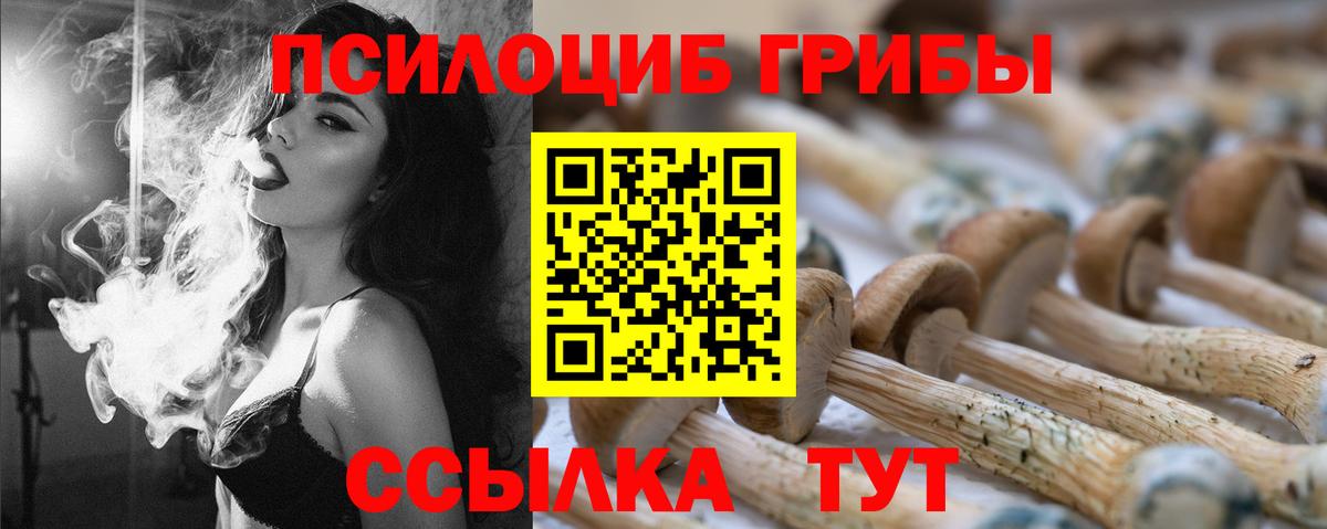 дарнет шоп  Галлюциногенные грибы Psilocybe  Лениногорск  Вход с VPN  Псилоцибиновые грибы MAGIC MUSHROOMS 